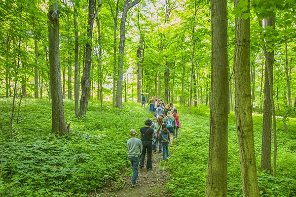 Group of people walking through the woods of Conner Prairie.
