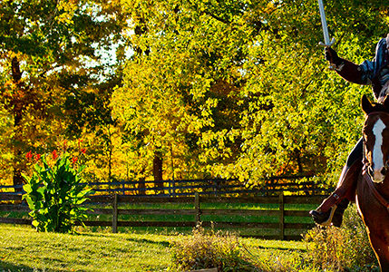 Headless Horseman Headless Horseman