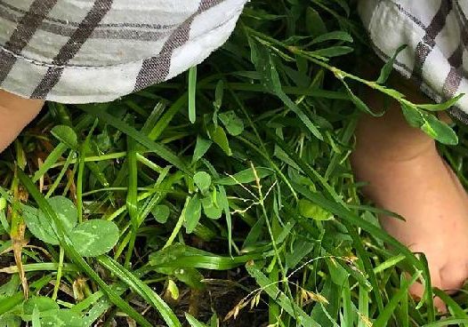 Playtime on the Prairie - Barefoot Babies Playtime on the Prairie - Barefoot Babies